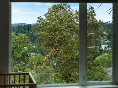 View 14