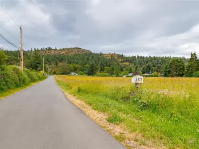 View 11