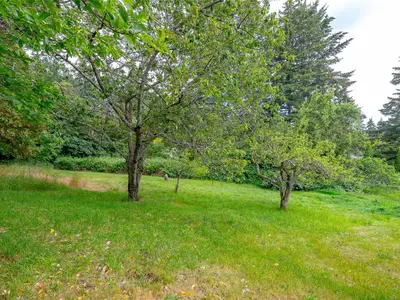 View 19