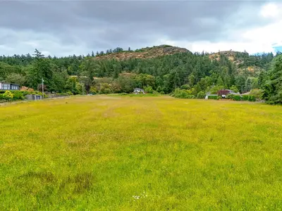 View 24