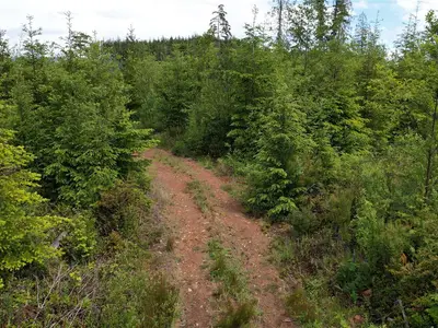 View 10