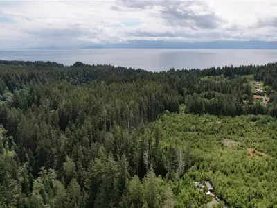 View 21