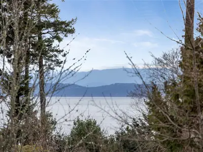 View 46