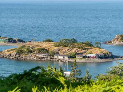 View 5