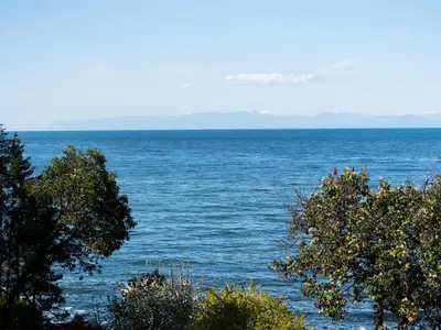 View 53