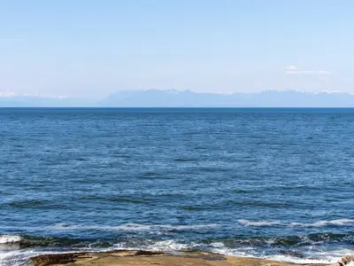 View 73