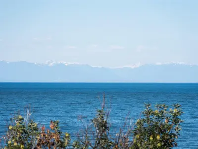 View 30