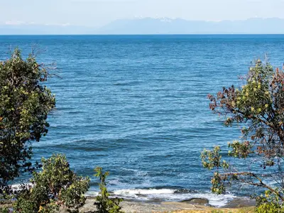 View 51