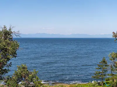 View 68
