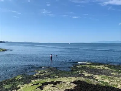 View 85