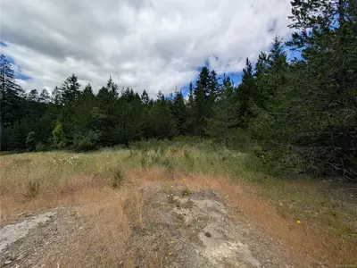View 17