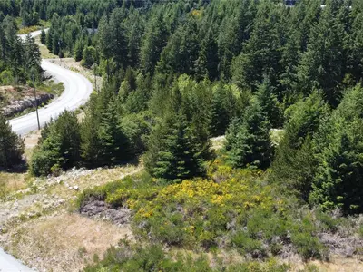 View 1