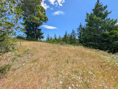 View 23