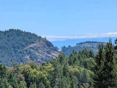View 6