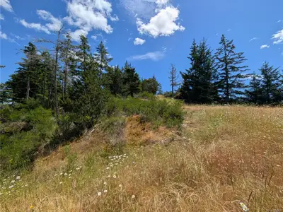 View 47
