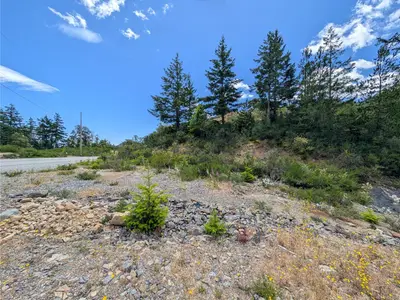 View 16