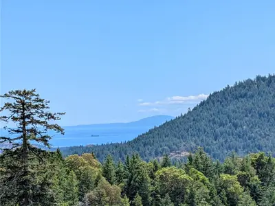 View 36