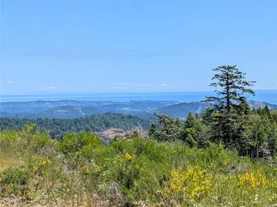 View 1