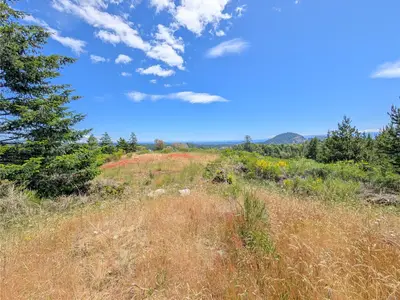 View 30