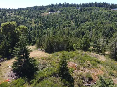 View 10