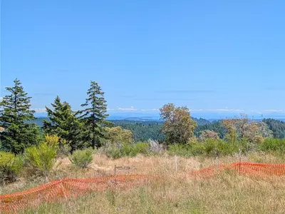 View 33