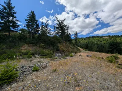 View 14