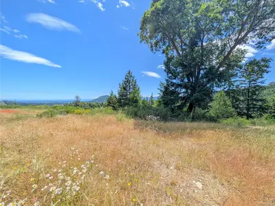 View 41