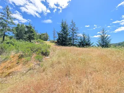 View 18