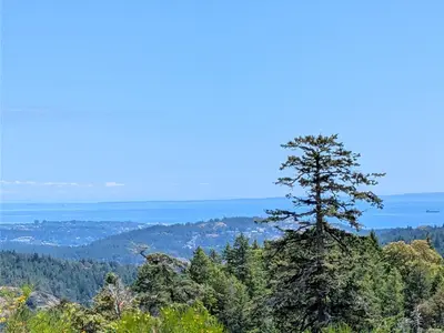 View 50