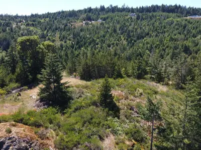View 11