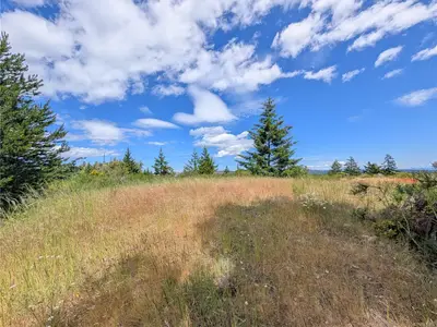 View 29