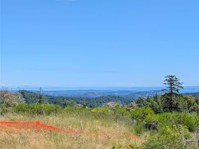View 4