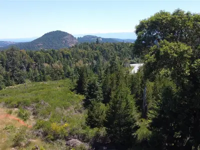 View 8