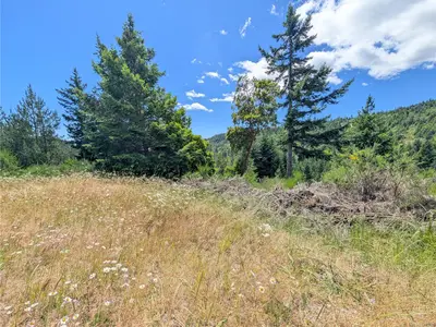 View 25