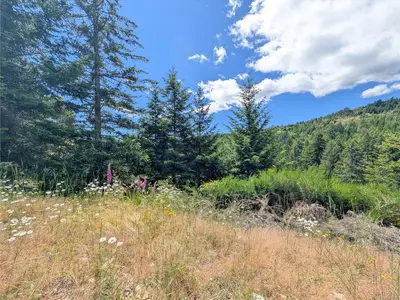 View 21