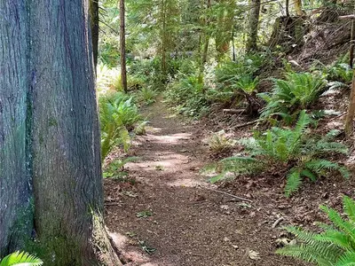 View 14