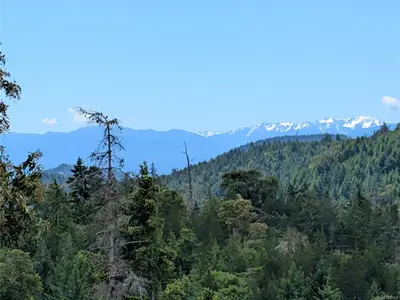 View 23