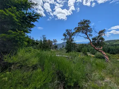 View 27