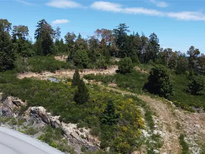 View 6