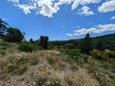 View 13