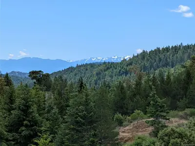 View 17