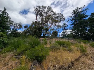 View 26