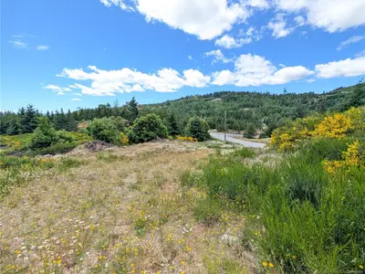 View 36