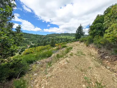 View 32