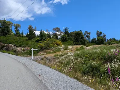 View 5