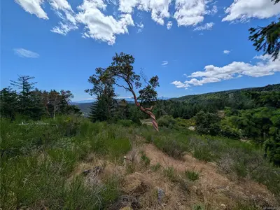 View 24