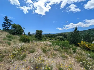 View 14