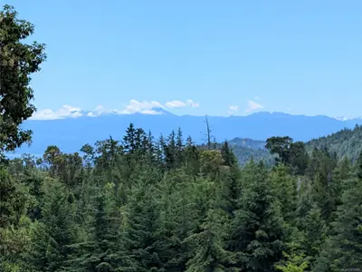View 18