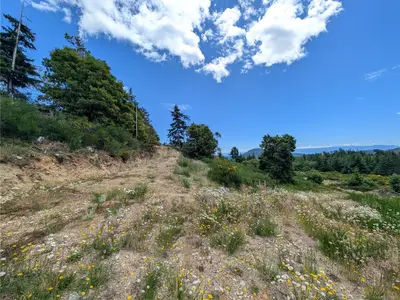 View 15