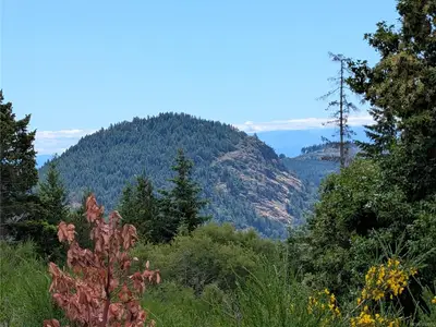 View 19